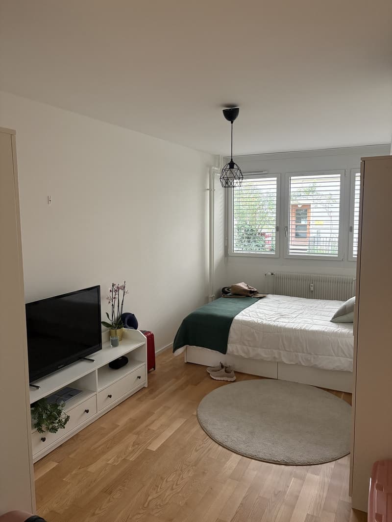 Einzimmerwohnung mit 32 m², bestehend aus Badezimmer, Küche und Wohn-/Schlafzimmer (2)