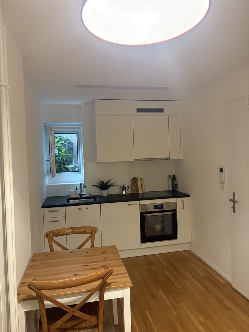 Einzimmerwohnung mit 32 m², bestehend aus Badezimmer, Küche und Wohn-/Schlafzimmer (3)
