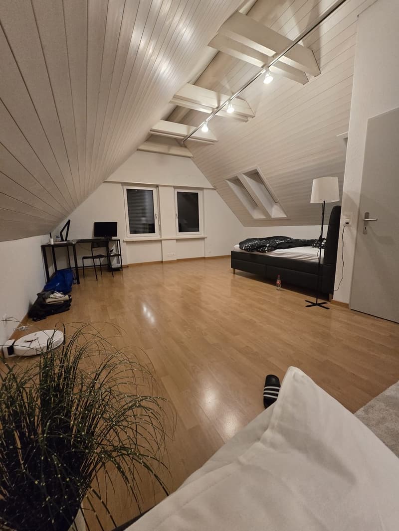 WG-Zimmer in der Nähe von Zürich (9)