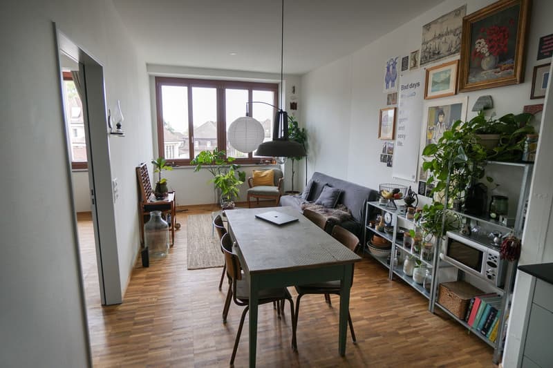 Moderne 2.5-Zimmer-Wohnung mit Charme im Herzen von Brugg (Effingerhof) (1)