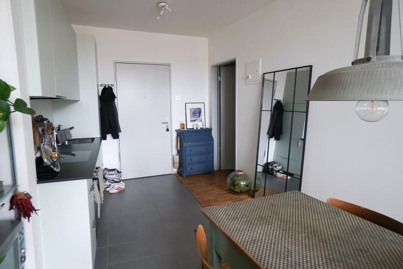 Moderne 2.5-Zimmer-Wohnung mit Charme im Herzen von Brugg (Effingerhof) (4)