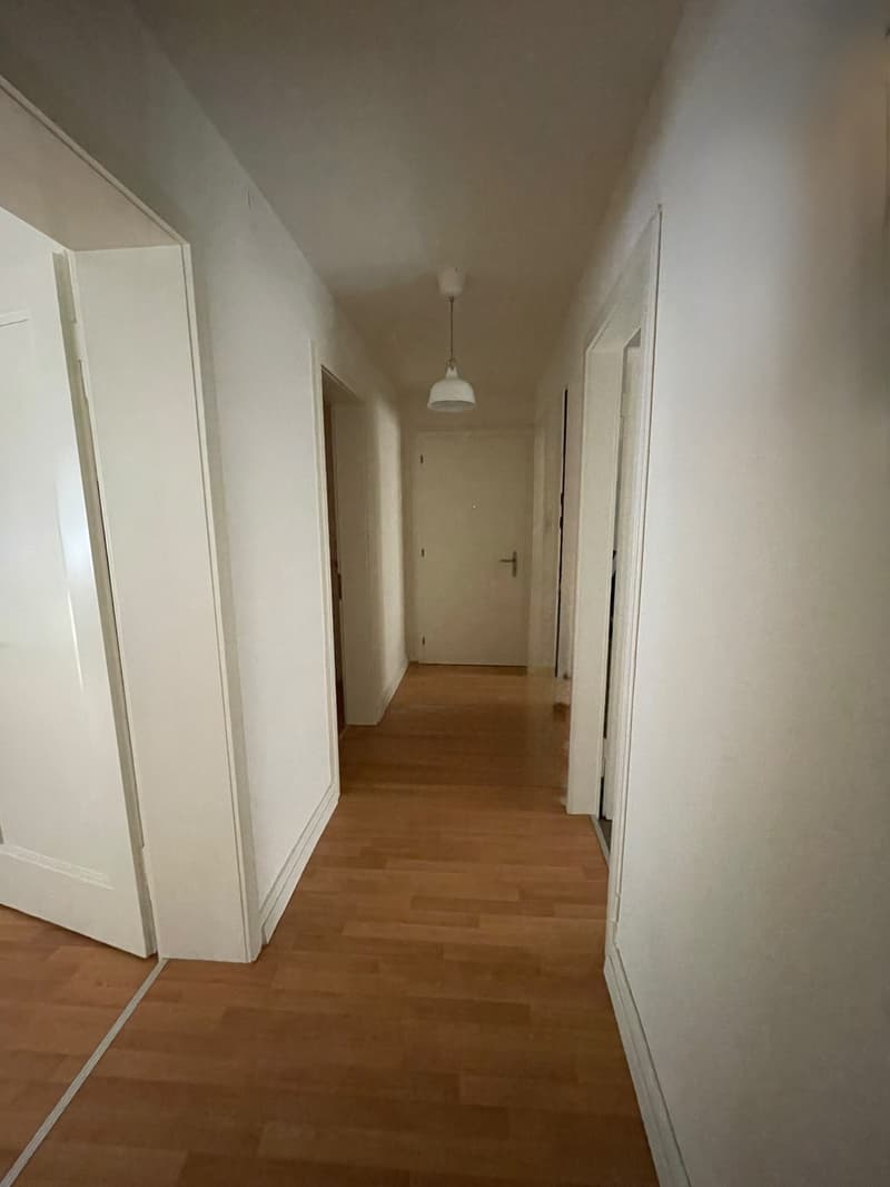APARTAMENTO 3 1/2 (6)