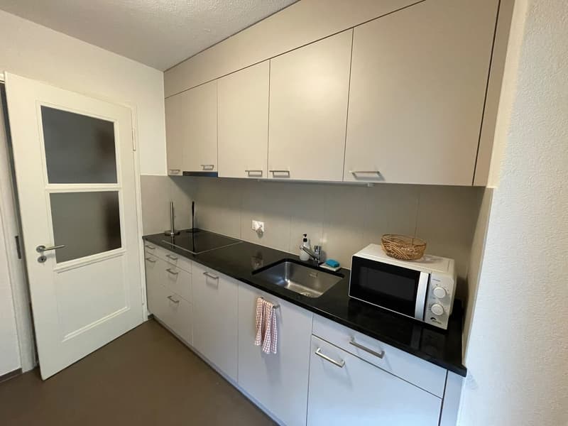 APARTAMENTO 3 1/2 (2)