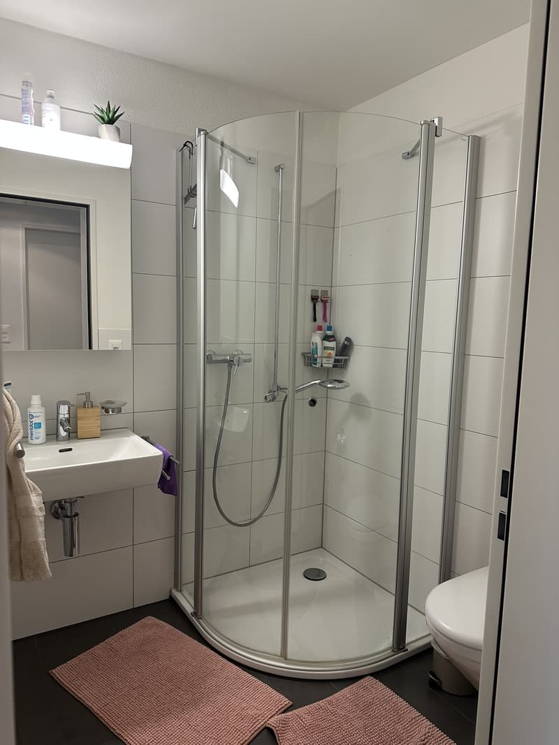 4.5-Zimmer-Wohnung mit Balkon in Aarburg (7)