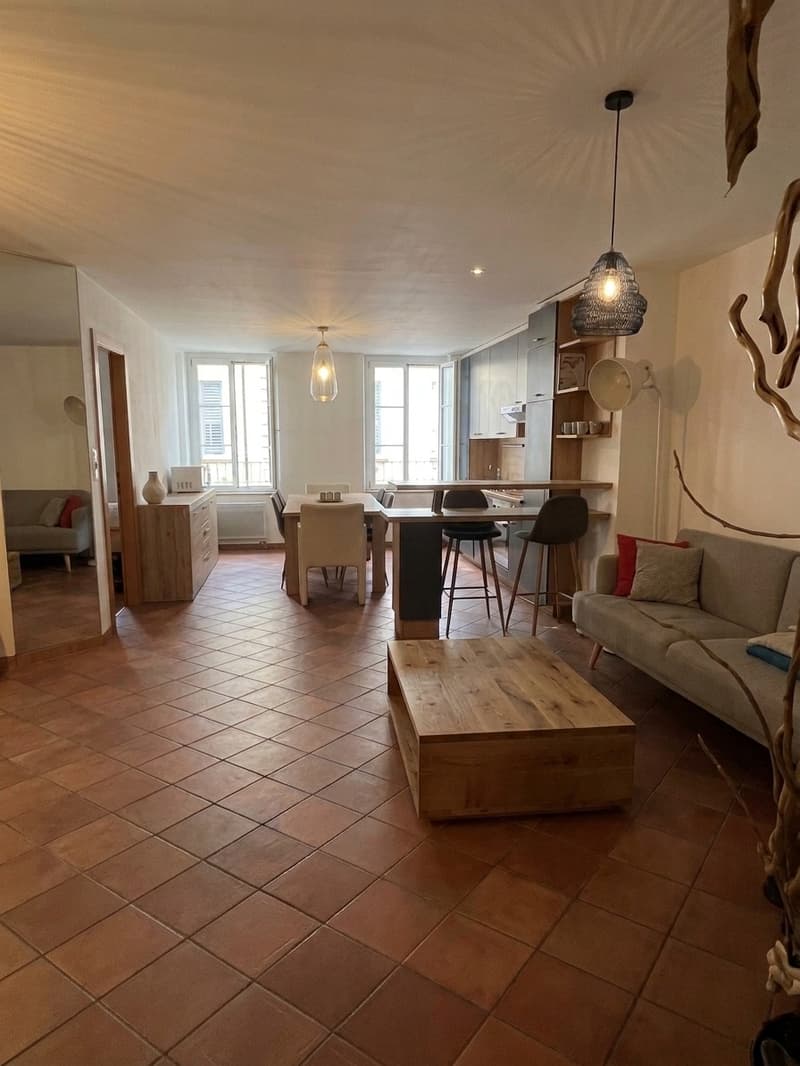 Colocataire recherché Appart 100m2 (2)