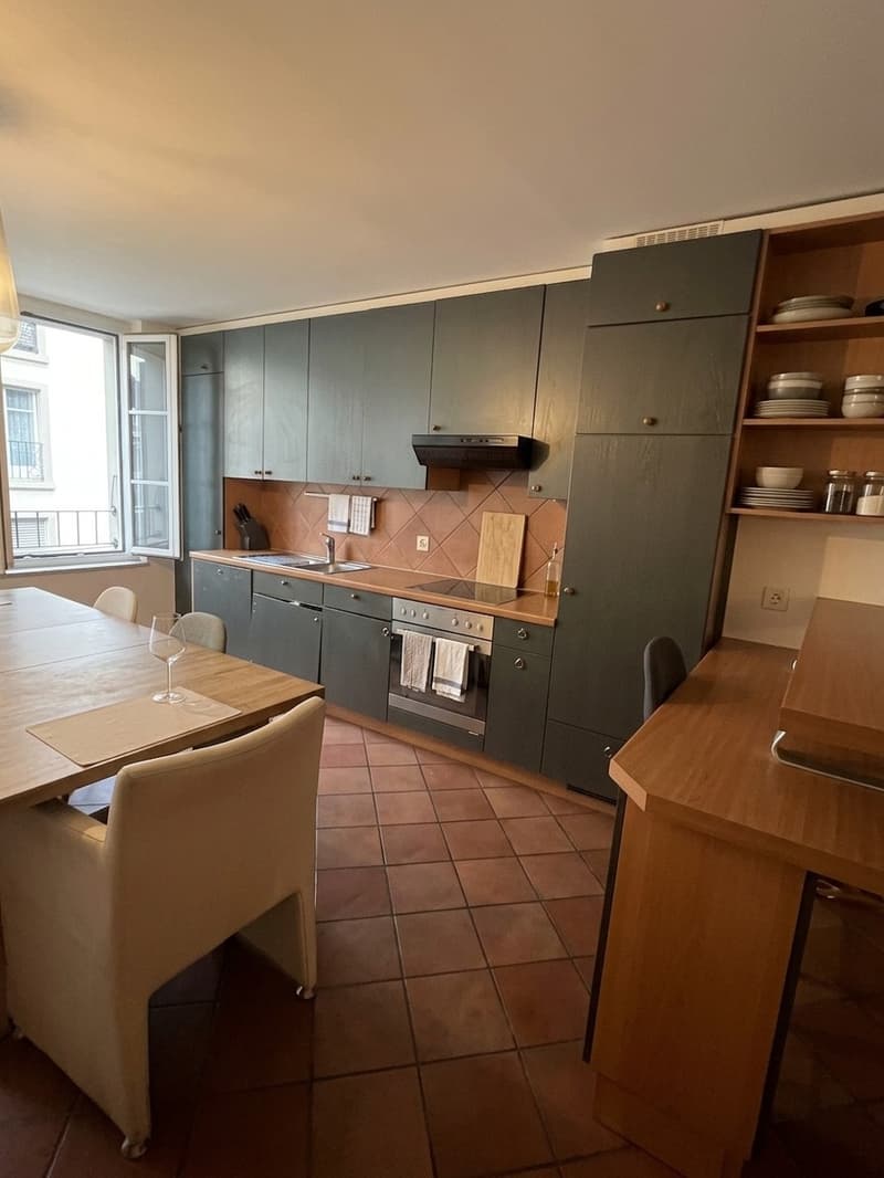 Colocataire recherché Appart 100m2 (4)