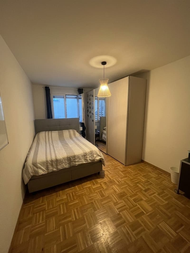 Colocataire recherché Appart 100m2 (3)