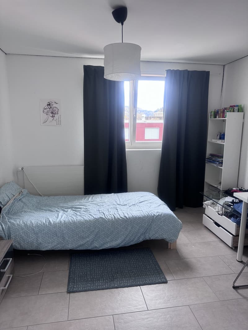 4 ½ rooms apartment, 8910 Affoltern am albis (8)