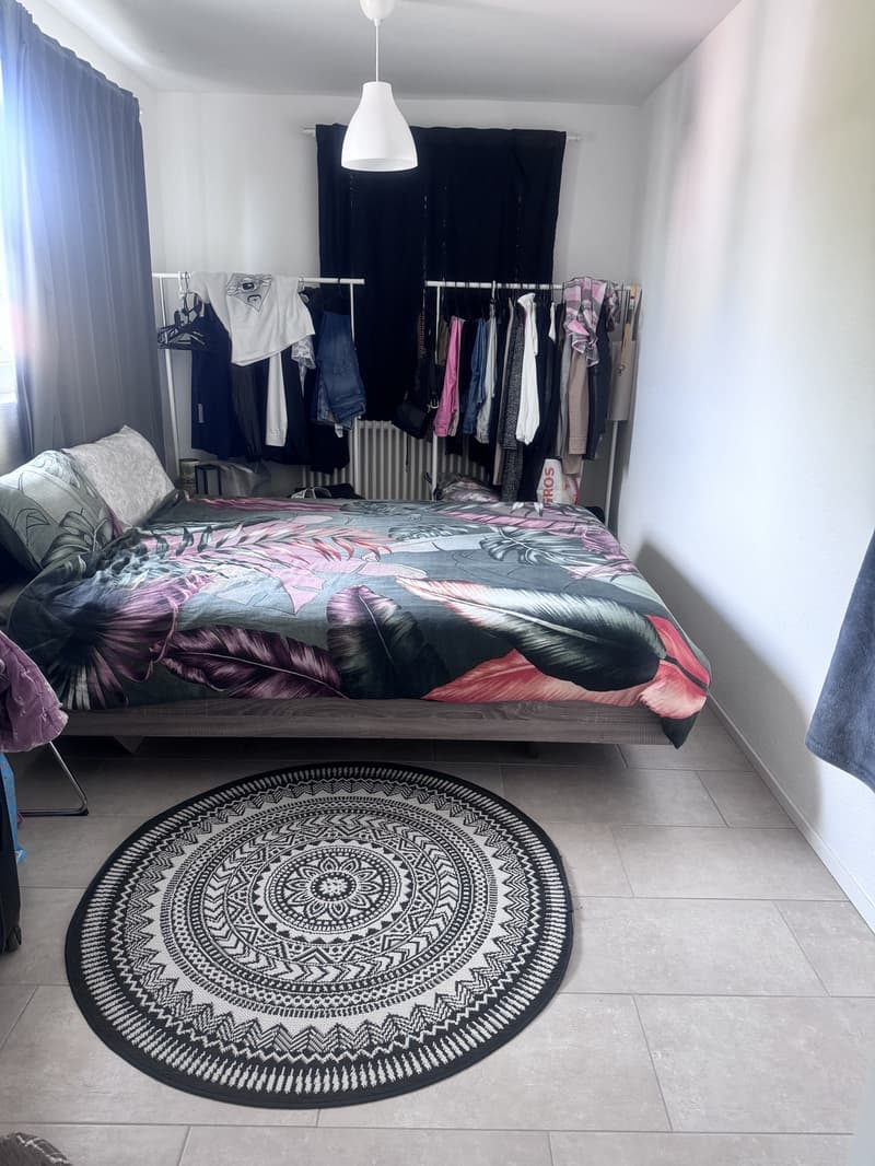 4 ½ rooms apartment, 8910 Affoltern am albis (7)