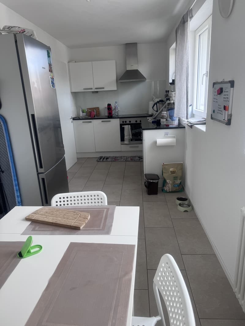 4 ½ rooms apartment, 8910 Affoltern am albis (6)