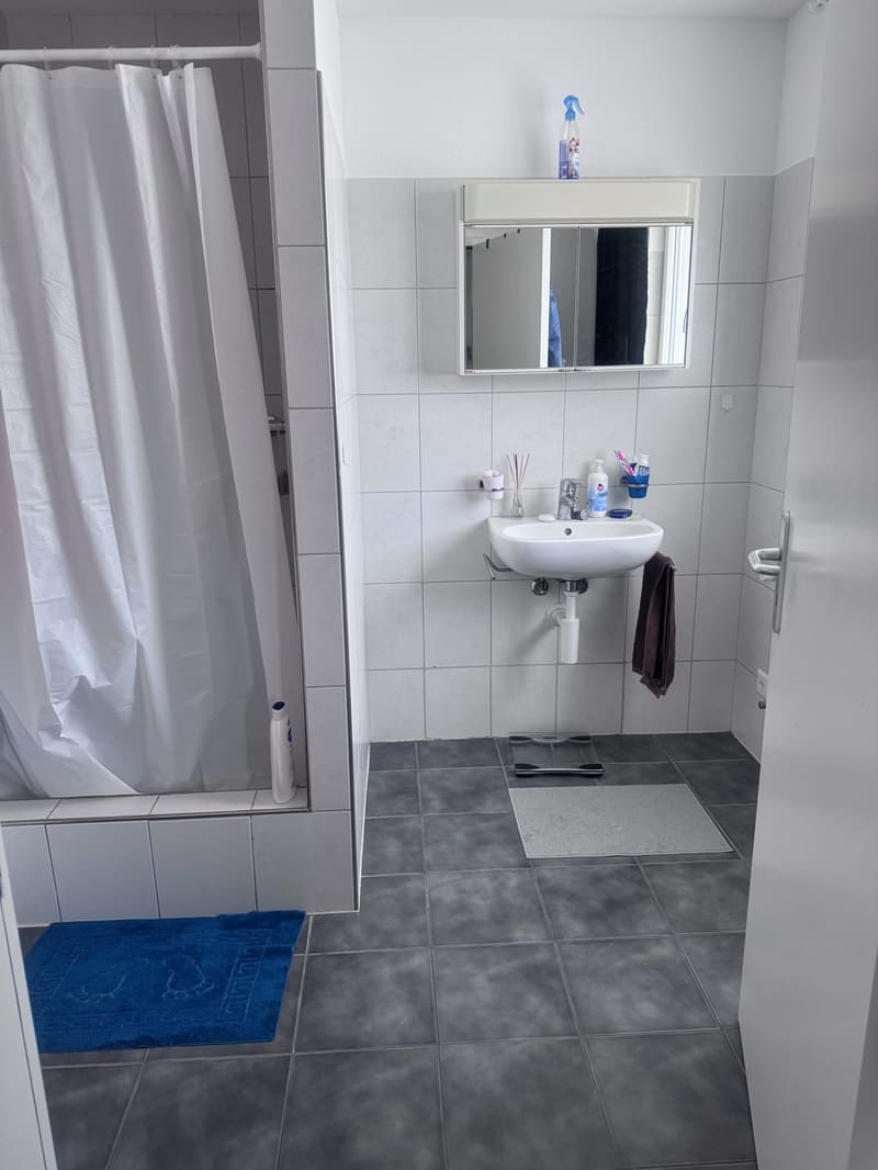 4 ½ rooms apartment, 8910 Affoltern am albis (4)