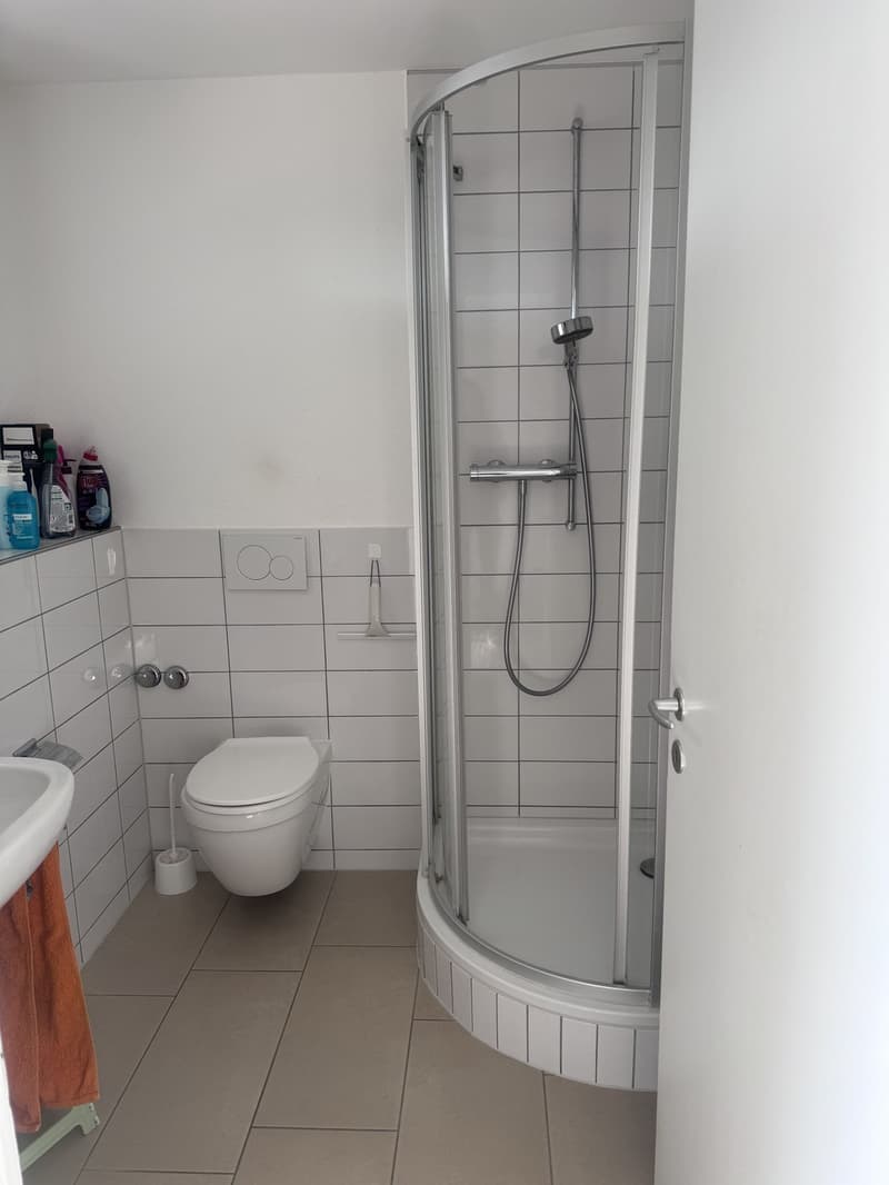 4 ½ rooms apartment, 8910 Affoltern am albis (3)