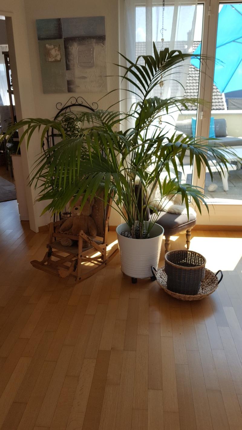 Heimelige, helle und zentrale Maisonette- Attika Wohnung (5)