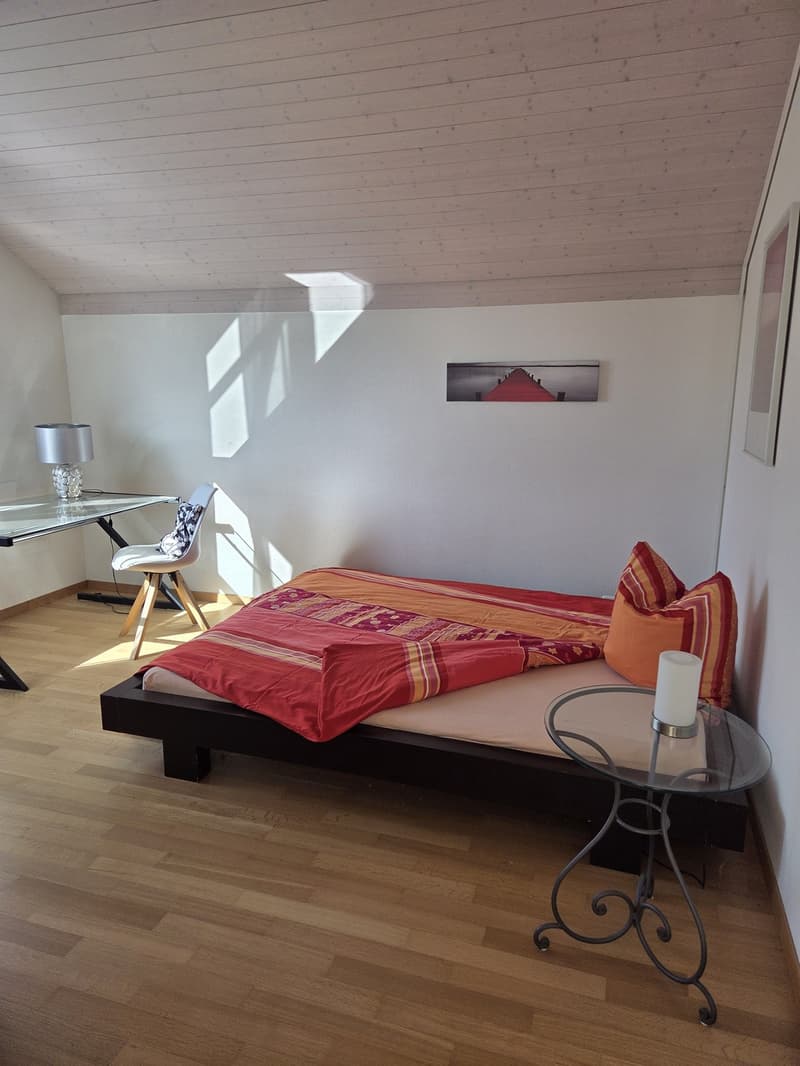 Heimelige, helle und zentrale Maisonette- Attika Wohnung (2)