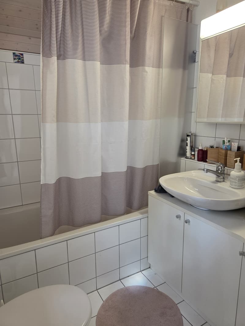 Heimelige, helle und zentrale Maisonette- Attika Wohnung (3)