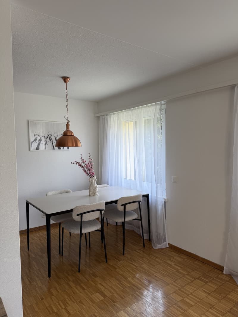 Möblierte 2.5-Zimmer-Wohnung an ruhiger Lage in Thalwil (1)