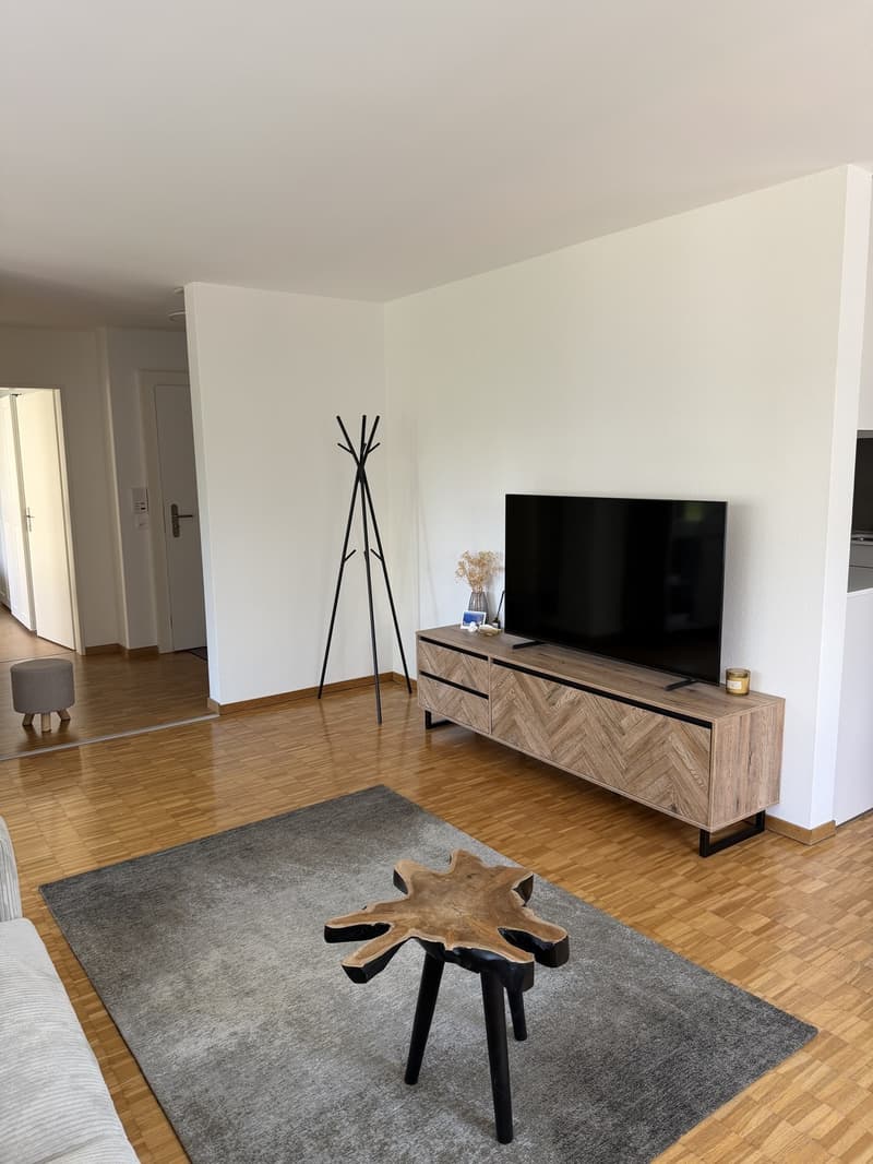 Möblierte 2.5-Zimmer-Wohnung an ruhiger Lage in Thalwil (5)
