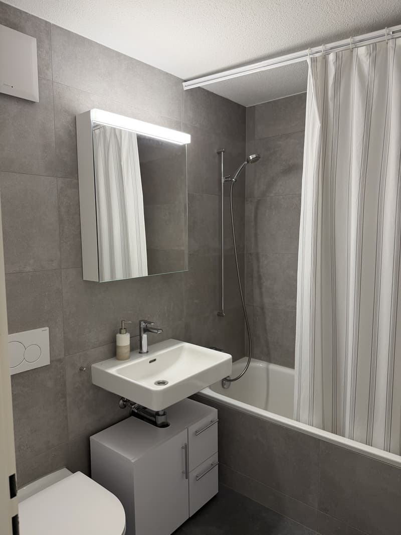Möblierte 2.5-Zimmer-Wohnung an ruhiger Lage in Thalwil (3)