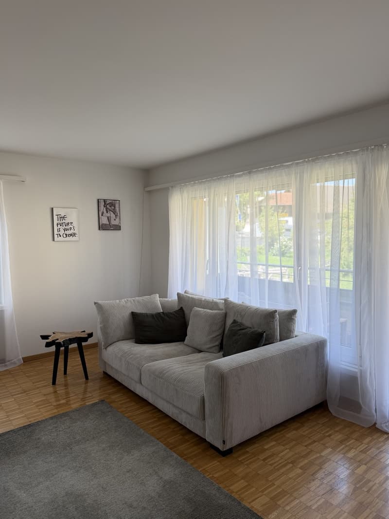 Möblierte 2.5-Zimmer-Wohnung an ruhiger Lage in Thalwil (4)