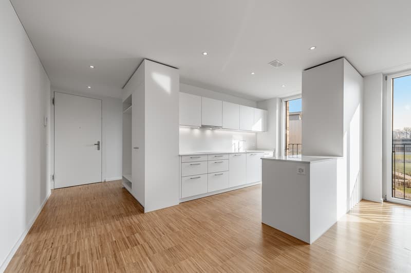 4 ½ rooms apartment, 8134 Adliswil (2)
