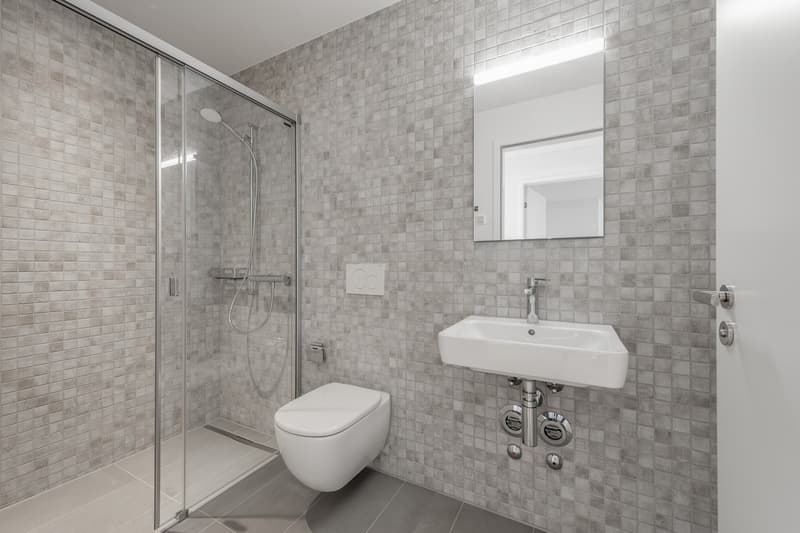 4 ½ rooms apartment, 8134 Adliswil (8)