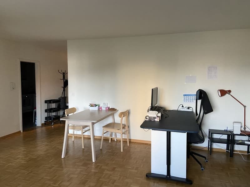 2 rooms apartment, 8105 Regensdorf (2)