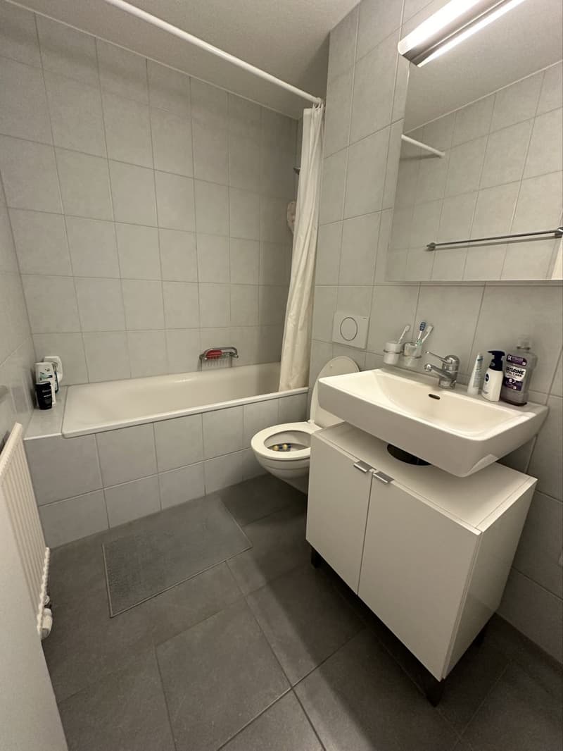 2 rooms apartment, 8105 Regensdorf (5)
