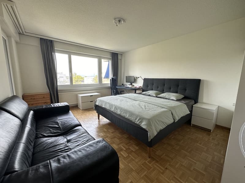 2 rooms apartment, 8105 Regensdorf (3)