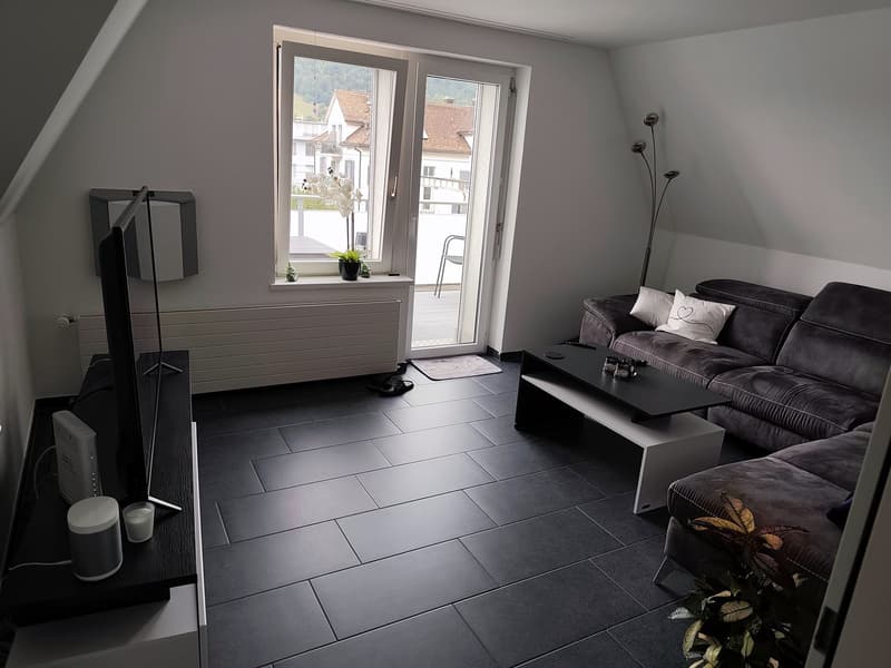 3 ½ Zimmer-Wohnung, 6410 Goldau (4)