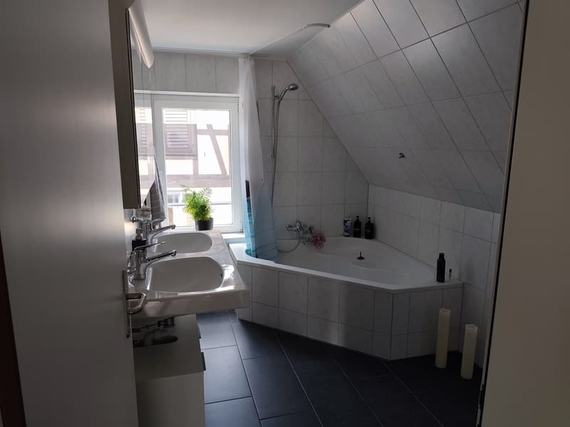 3 ½ Zimmer-Wohnung, 6410 Goldau (5)