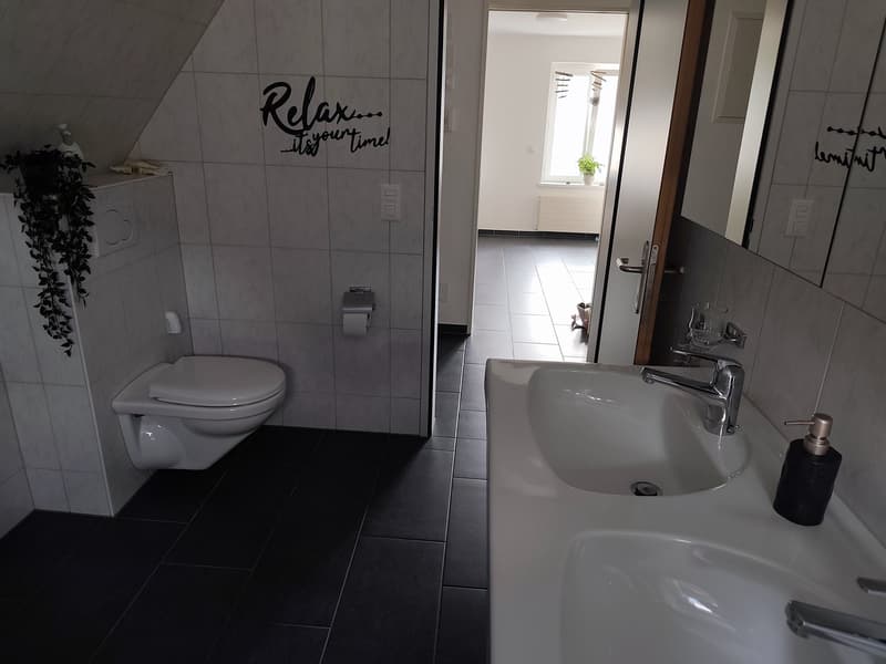 3 ½ Zimmer-Wohnung, 6410 Goldau (6)