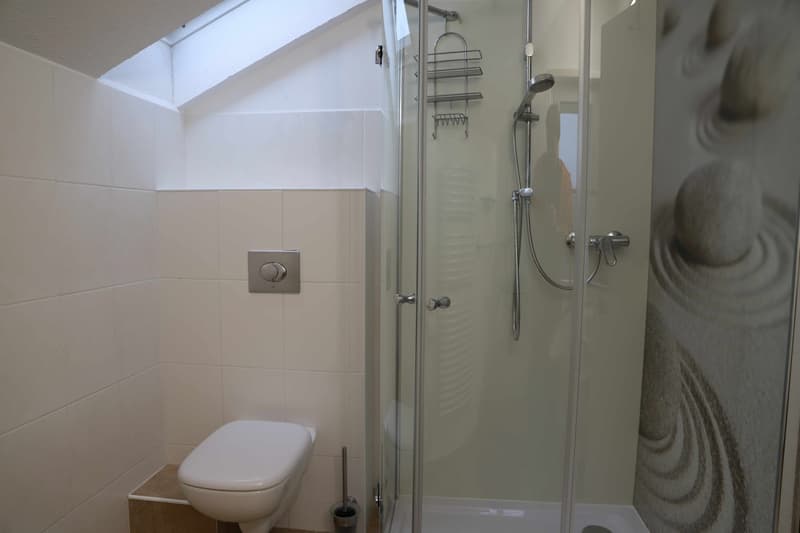 Room in a shared house, Urdorf (4)