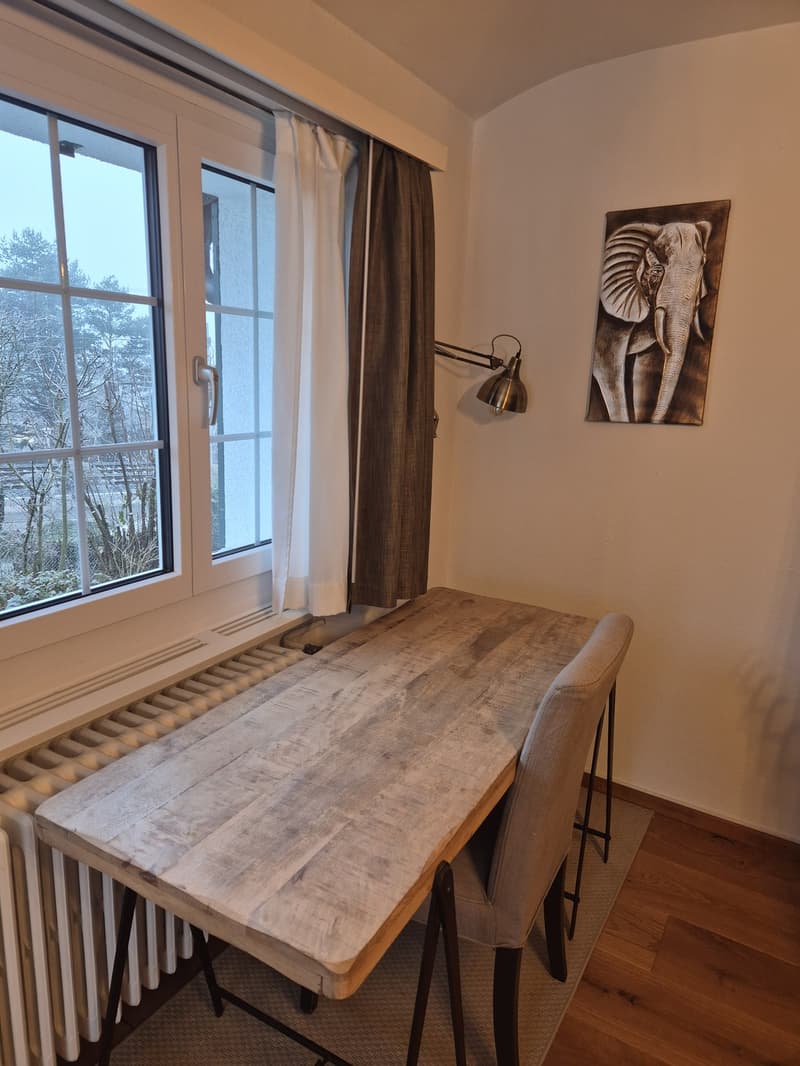 Room in a shared house, Urdorf (3)