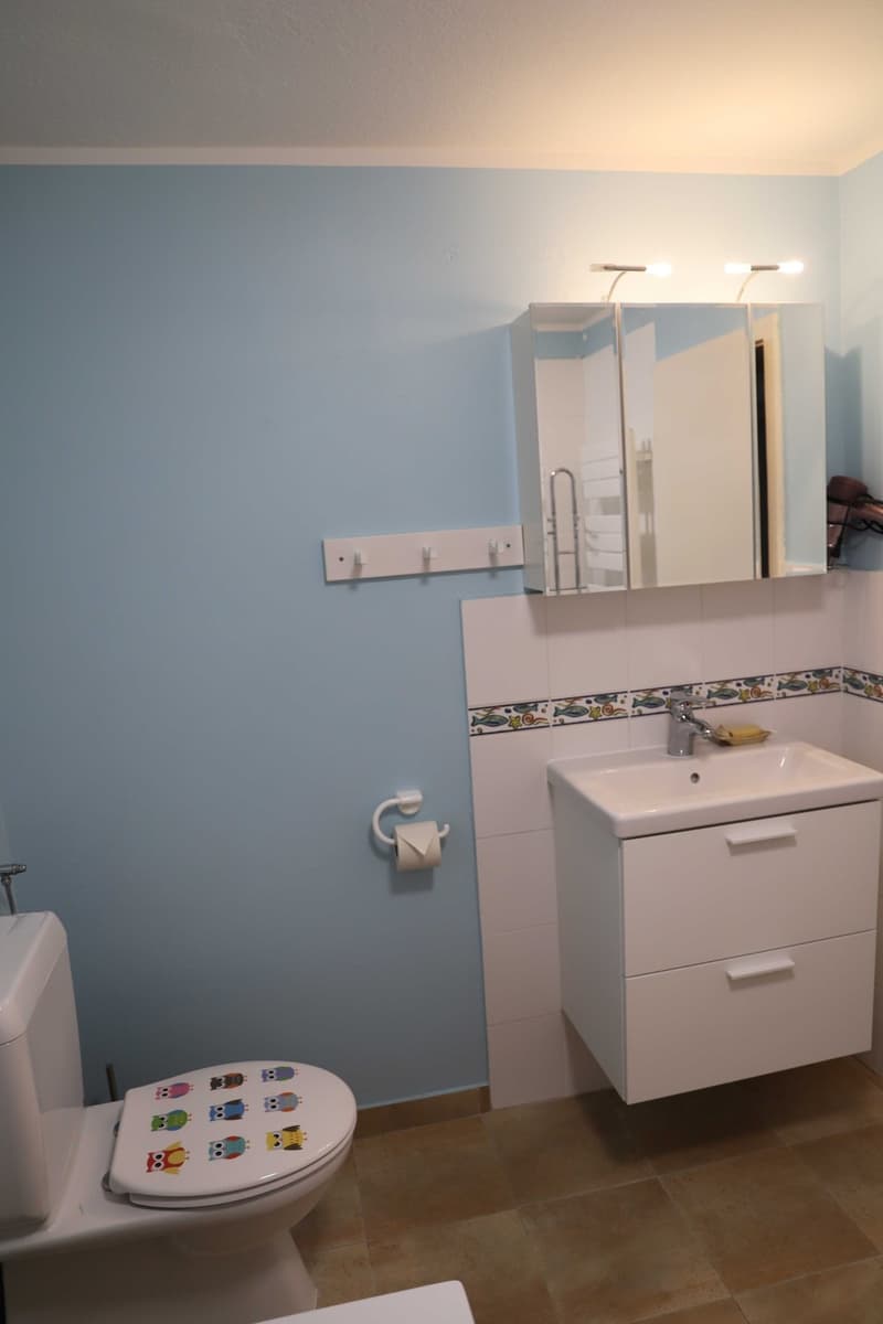 Room in a shared house, Urdorf (8)