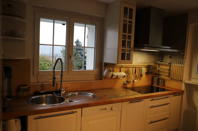 Room in a shared house, Urdorf (10)