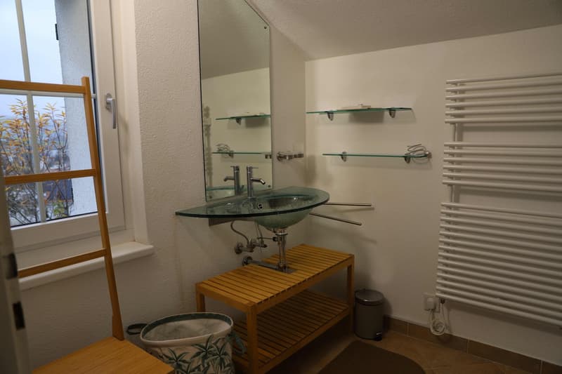 Room in a shared house, Urdorf (4)