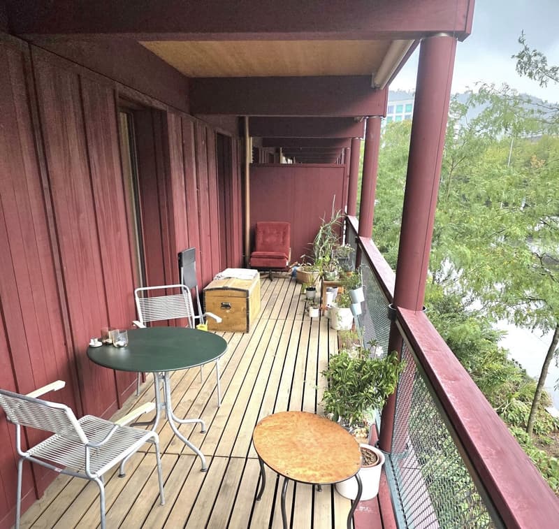3.5 Zimmer Wohnung | Albisrieden | Zwischenmiete 4 Wochen (5)