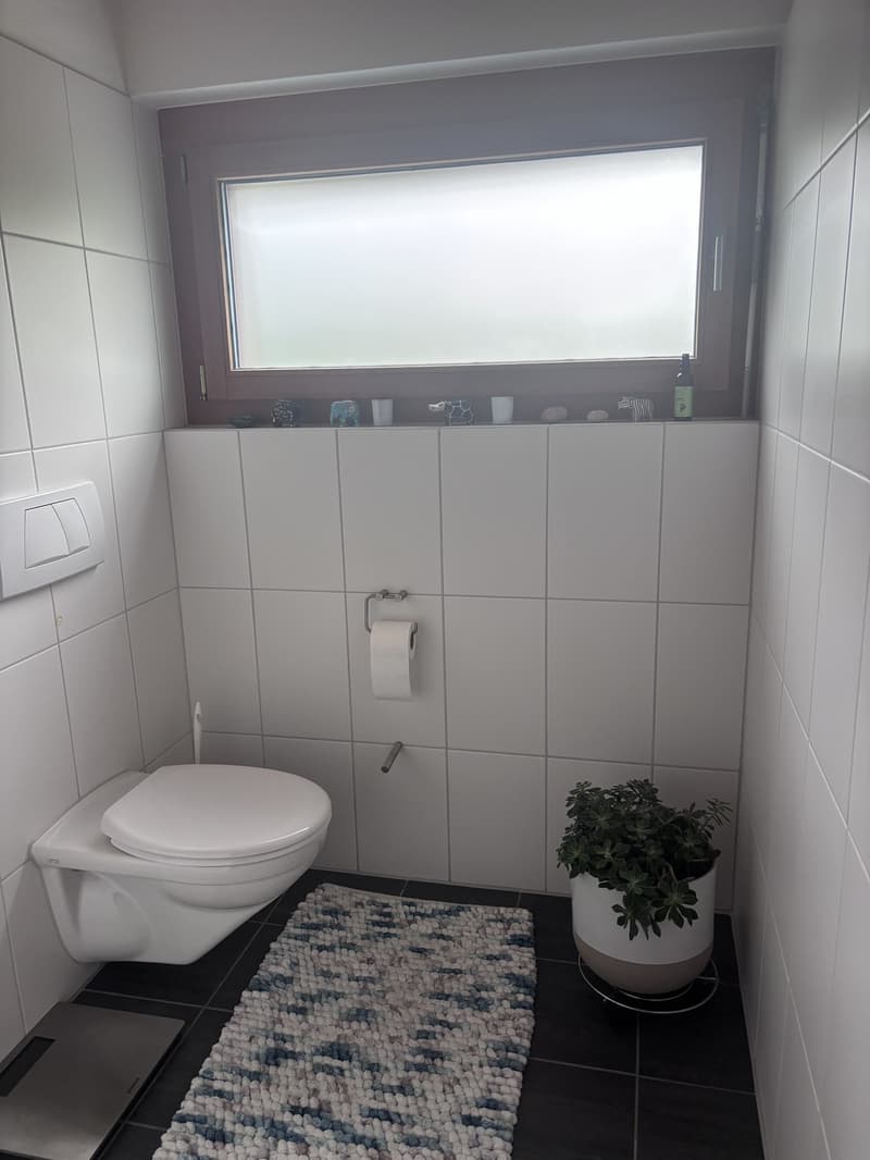 3 ½ Zimmer-Wohnung, 6034 Inwil/ LU (8)