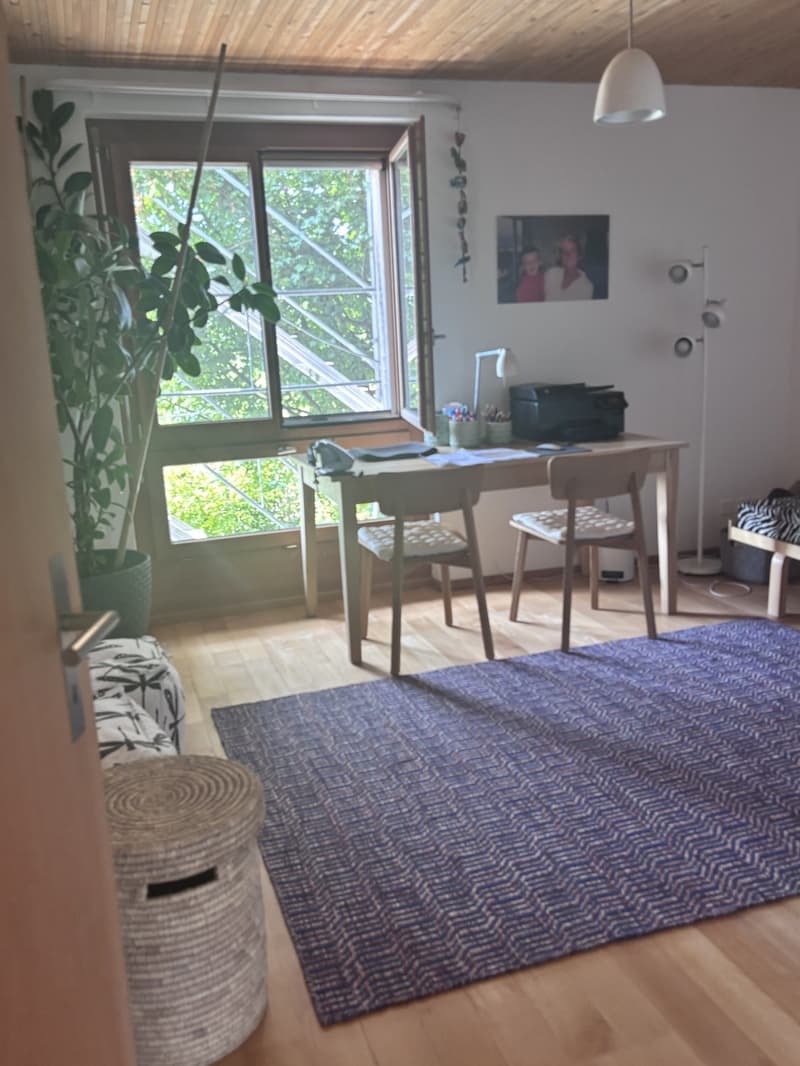 3 ½ Zimmer-Wohnung, 6034 Inwil/ LU (1)