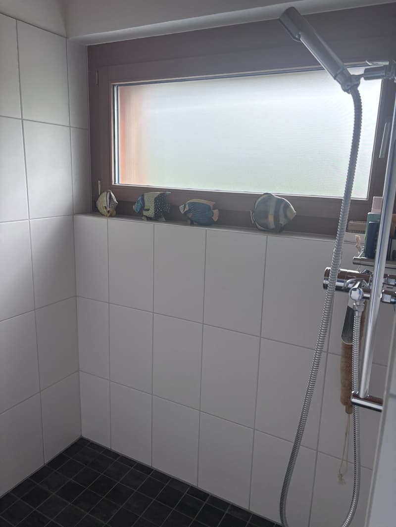 3 ½ Zimmer-Wohnung, 6034 Inwil/ LU (11)