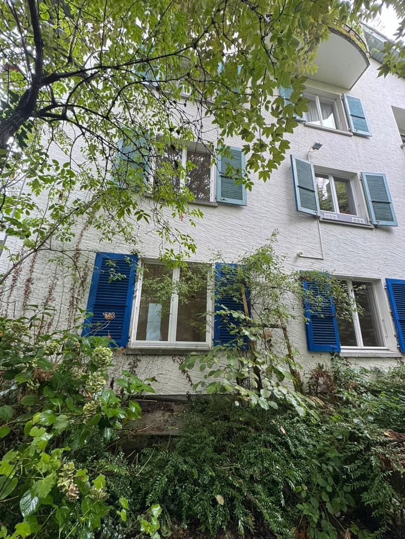 WG Zimmer (5)