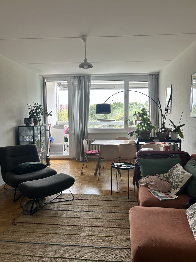 Appartement 5 ½ pièces, 1213 Petit-Lancy (7)
