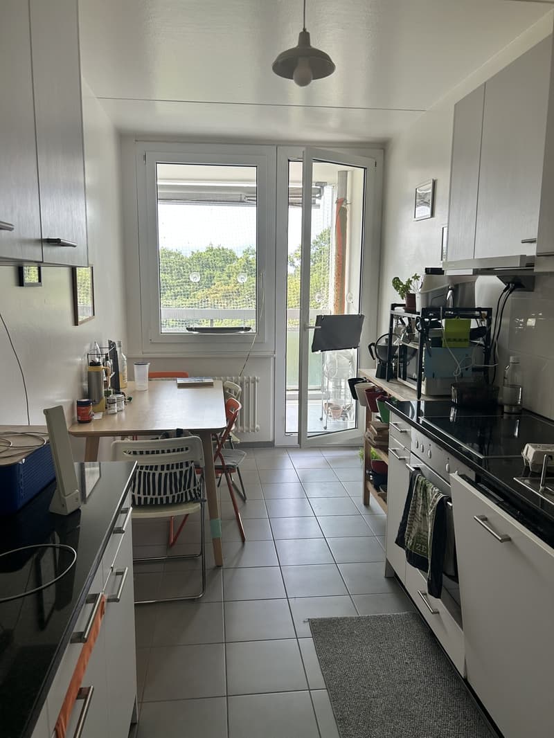 Appartement 5 ½ pièces, 1213 Petit-Lancy (6)