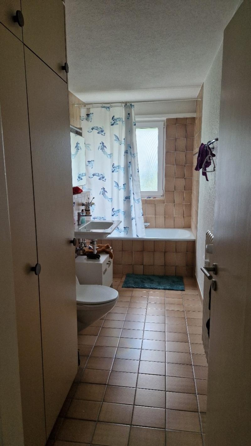 Nachmieter*in gesucht für gemütliche 3.5-Zimmer-Wohnung ab 1. September (7)