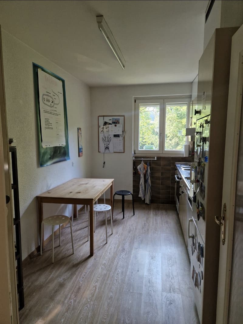 Nachmieter*in gesucht für gemütliche 3.5-Zimmer-Wohnung ab 1. September (6)