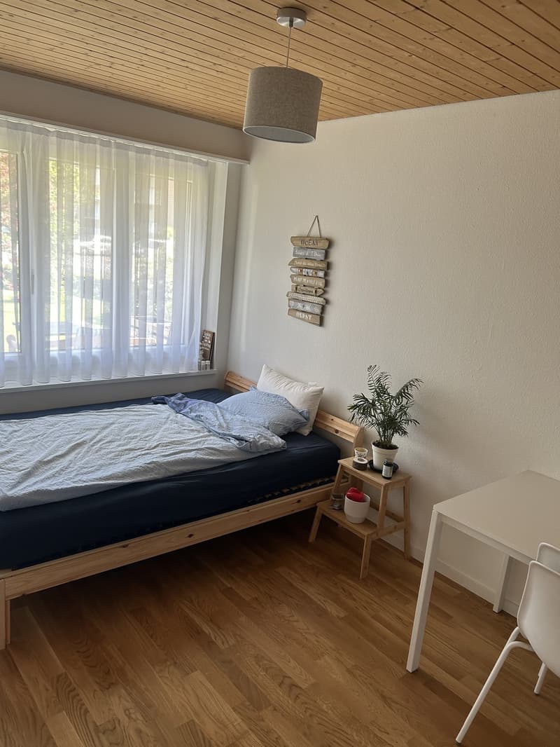 Wochenaufenthalterin oder Mitbewohnerin gesucht (6)