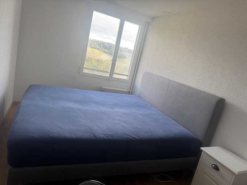 3.5 Apartment Rent For 2 years (3)