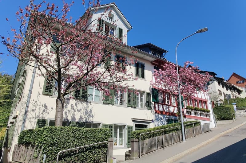 Maisonette Dachwohnung mit Seeblick (2)