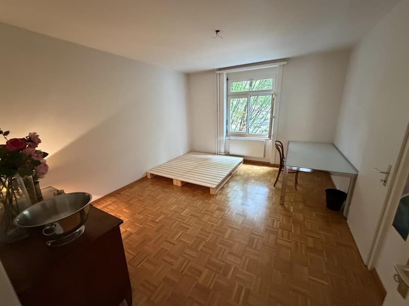 Geräumiges WG-Zimmer mit Wohnzimmer im Kreis 3 (1)