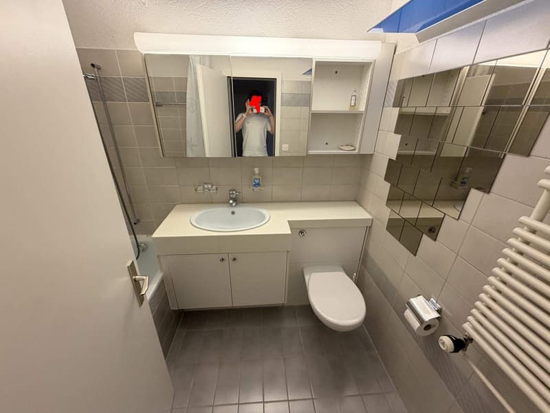 Geräumiges WG-Zimmer mit Wohnzimmer im Kreis 3 (6)